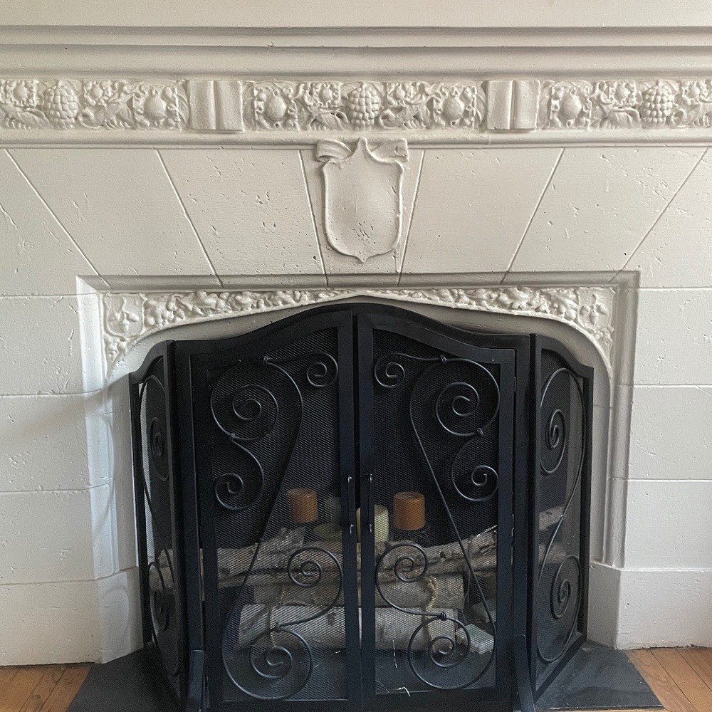 Fireplace screen